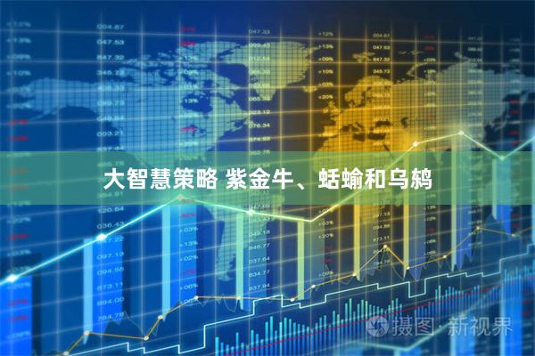 大智慧策略 紫金牛、蛞蝓和乌鸫