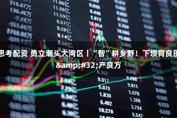 思考配资 勇立潮头大湾区丨“智”耕乡野！下坝育良田 产良方