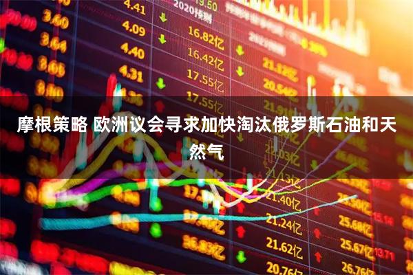 摩根策略 欧洲议会寻求加快淘汰俄罗斯石油和天然气