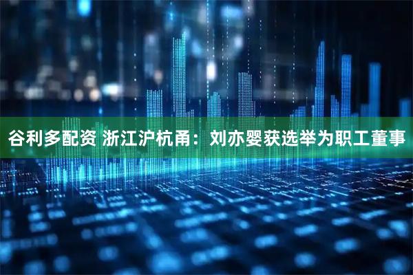 谷利多配资 浙江沪杭甬：刘亦婴获选举为职工董事